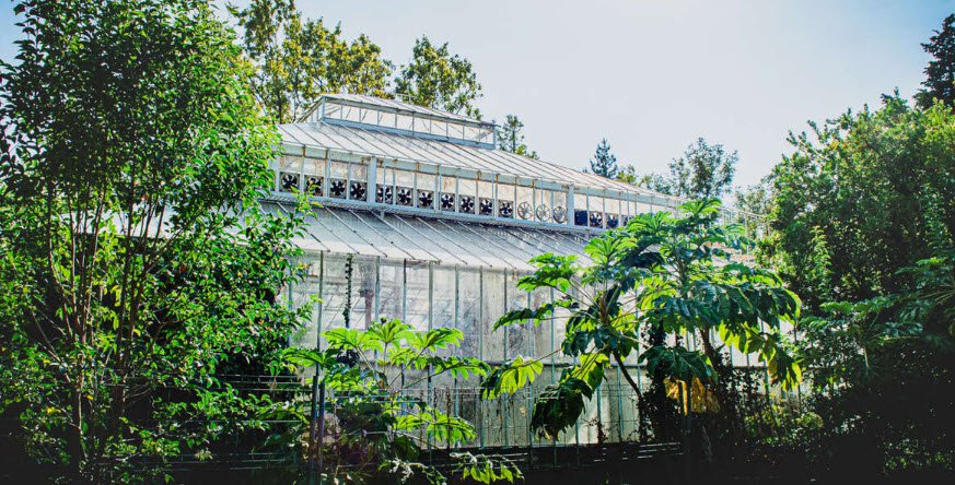Jardin botanique de la Ville de Marseille, Marseille, France, France